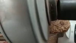Проверка двигателя пылесоса