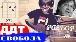 СВОБОДА ДДТ Я ЕДУ К ТЕБЕ подробный видео разбор песни под гитару АККОРДЫ ПЕРЕБОР Юрий Шевчук