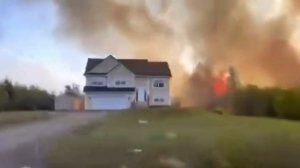 Новая Шотландия подгорает 29.05.2023