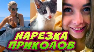 🛑 НАРЕЗКА ЛУЧШИХ СМЕШНЫХ ПРИКОЛОВ | #8 | забавный юмор, смешные животные | funny moments