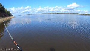 Воблеры Mr. Musurok Lures&Rods жесткий тест на Северной Двине