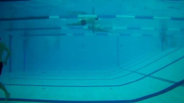 Две рыбы играют в шашки смотреть онлайн