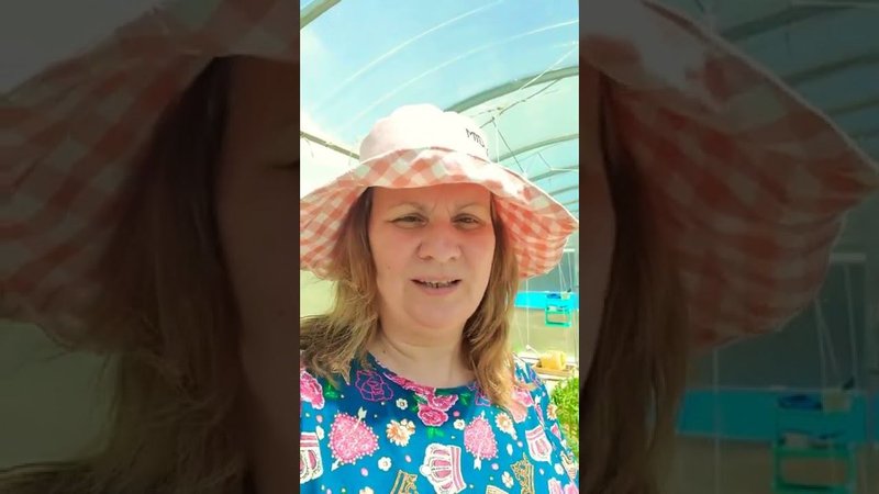 Удалили 326 видео