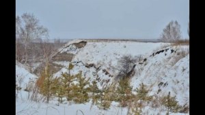 СИБИРСКАЯ ДЕРЕВУШКА НА БЕРЕГУ ИРТЫША СТАРОМАЛИНОВКА