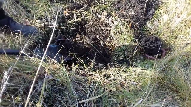 Поехал за цветметом. Коп в военной части! смотреть онлайн