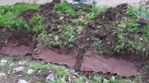 Работа над сухим ручьём  1 часть.