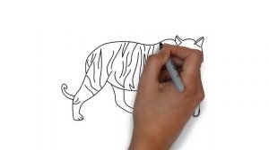 How to draw Cute Tiger, Animals, Как нарисовать Тигра