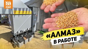 Все, что нужно знать о сепарирующих машинах Алмаз