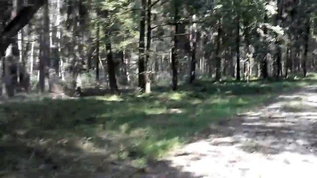 Велодорожка в польской Силезии 2015.08.10 смотреть онлайн