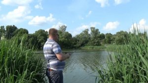 CURADO DC. Распаковка и тест