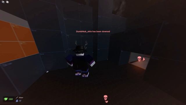 ROBLOX Evade Pro Gameplay