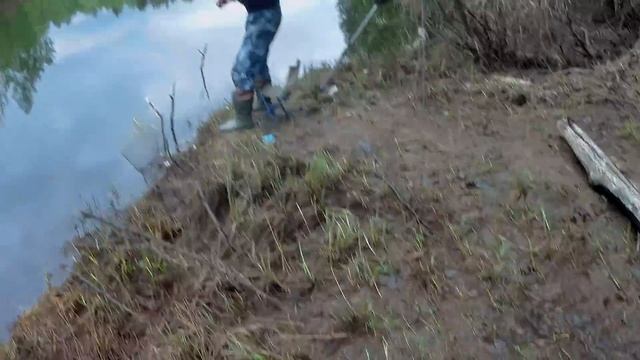 Рыбалка с Вованом на лесной речке. смотреть онлайн