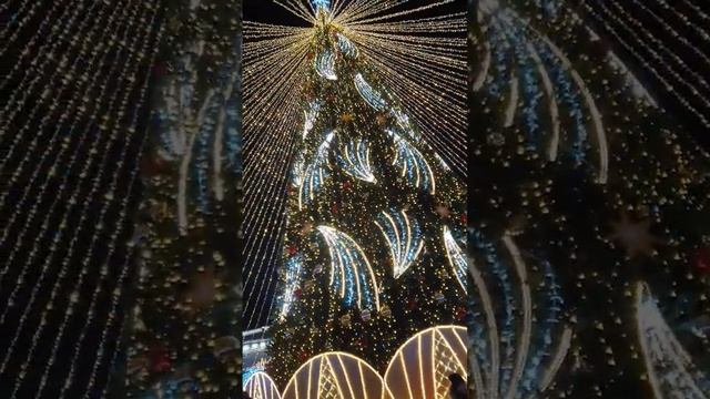 #новыйгод #елкановогодняя #новыйгод2024.mp4