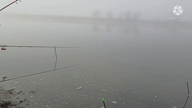 Рыбалка в тумане. Отличный клёв карасиков. #влог#пойма#ерик#рыбалка#караси смотреть онлайн