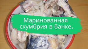 Маринованная скумбрия в банке.