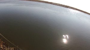 Рыбалка в Астрахани. Ловля окуня на в отвес на девон весной.