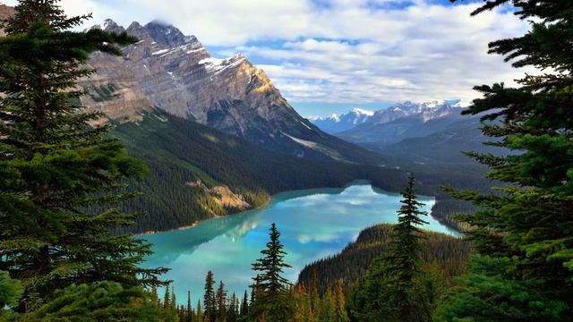 Ardent Lights. I See Light