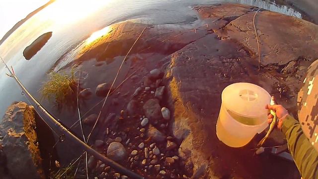 20170618 рыбалочка с берега смотреть онлайн