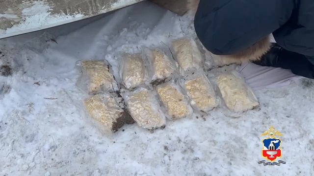 В Барнауле полицией ликвидирована нарколаборатория и задержан межрегиональный перевозчик «синтетики»