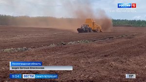 47-й регион может начать экспорт крупных партий торфа в Китай