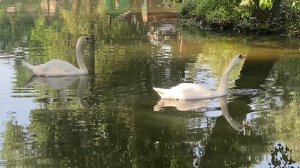 01-06-2023 Энергодар. Россия