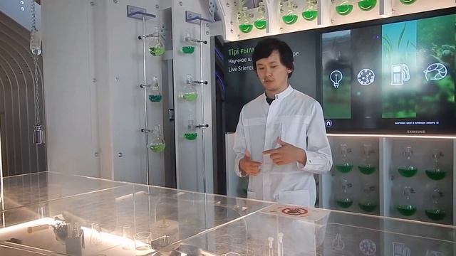 Экспо 2017. Биотехнологии с бактериями смотреть онлайн