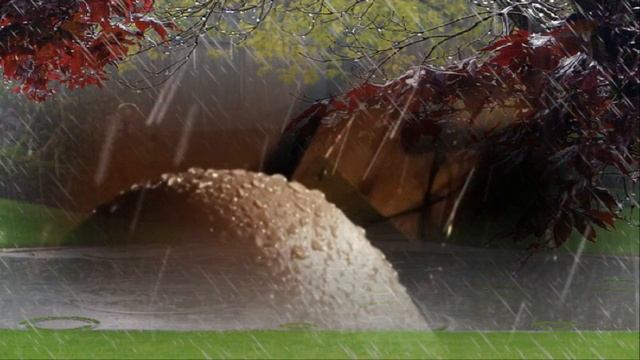 Юлия Михальчик  Лебедь Белая