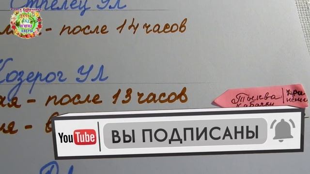 Лучшие дни для посева семян огурцов, кабачков, арбузов, дынь и тыквы в мае 2020 года. Сеем семена в