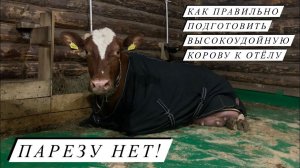 Как избежать послеродовой ПАРЕЗ. Наш опыт