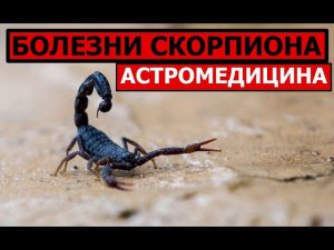 БОЛЕЗНИ СКОРПИОНА. АСТРОМЕДИЦИНА