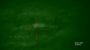 Охота в Таджикистане на лис с цифровым прицелом X-Sight!