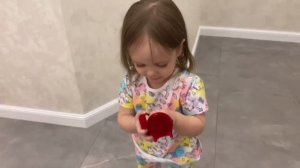 день рождения Софии влог