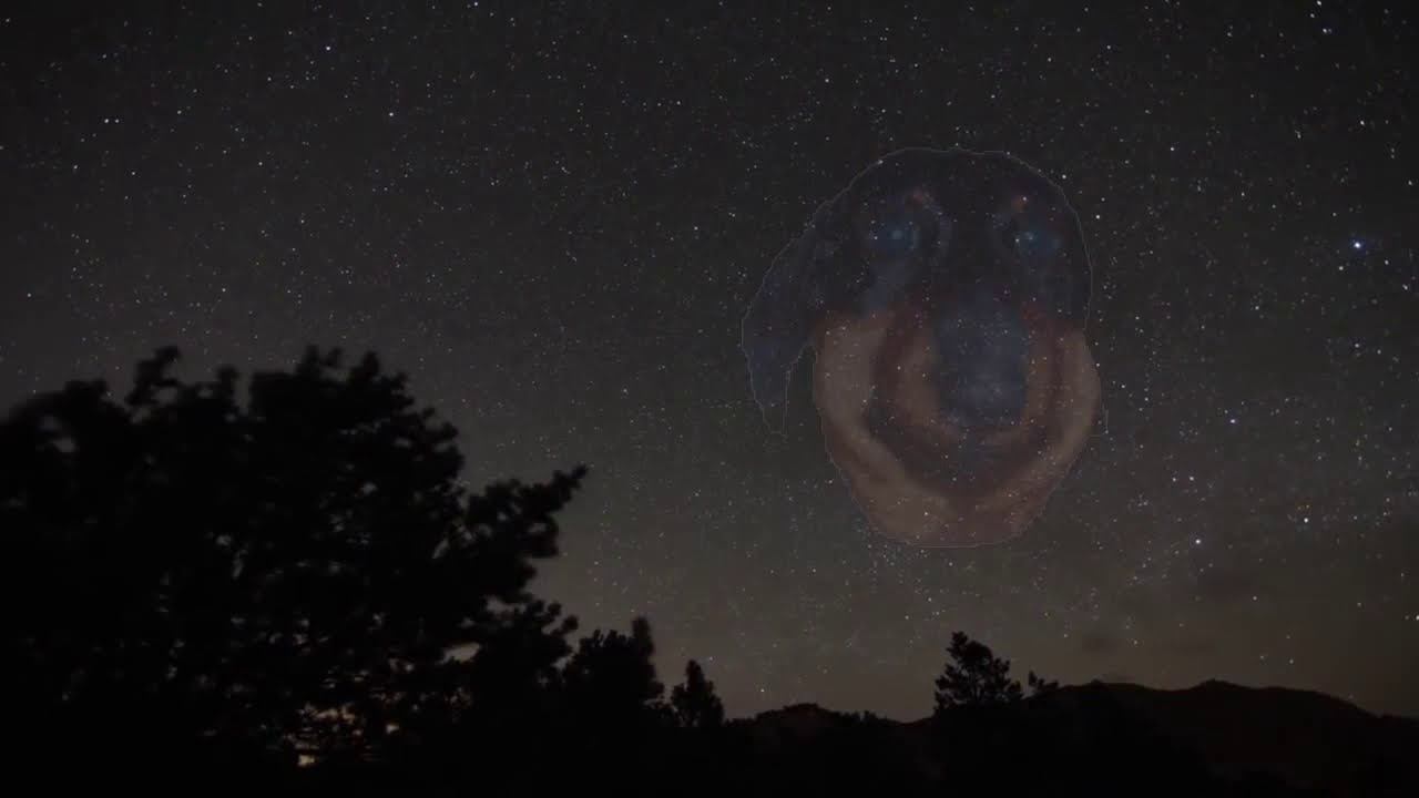 Dawg вернулся из бана 03.04.2020 part1