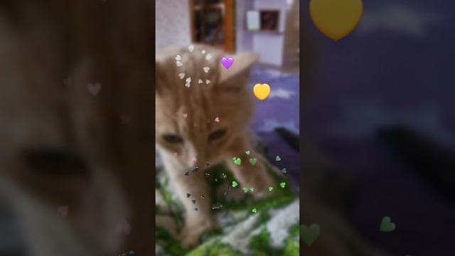 lv_6941308878395034882_20230828184348.mp4