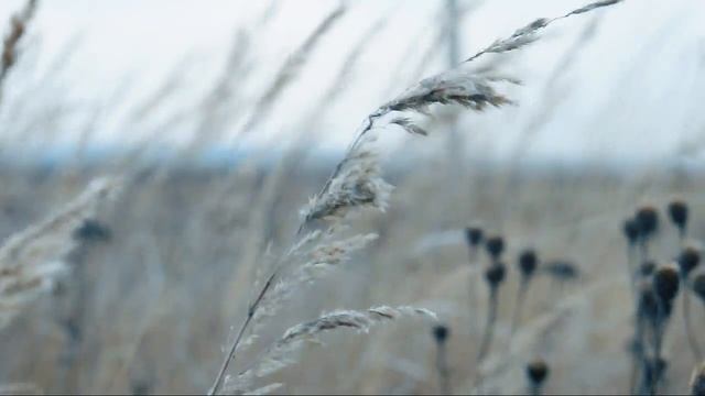 Съёмка видео на Nikon D90 смотреть онлайн