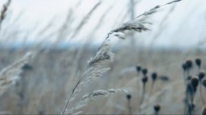 Съёмка видео на Nikon D90