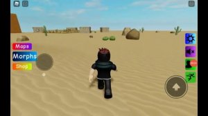 как найти всех флоп в find the floppa,roblox