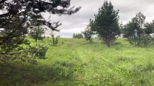 КАК КУПИТЬ ХУТОР ПРАВИЛЬНО. И СКОЛЬКО СТОИТ НА НЁМ ЖИТЬ?