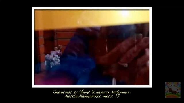 Столичное кладбище домашних животных