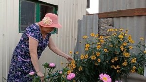 Начались очень жаркие дни .Уход за цветами и моя помошница ./Мама Гуля/