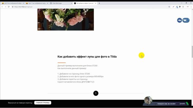 Как добавить эффект лупы для фото в Tilda смотреть онлайн