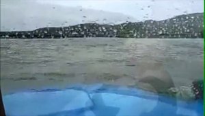 Плывем! А куда плывем   видиоразмышления на тему