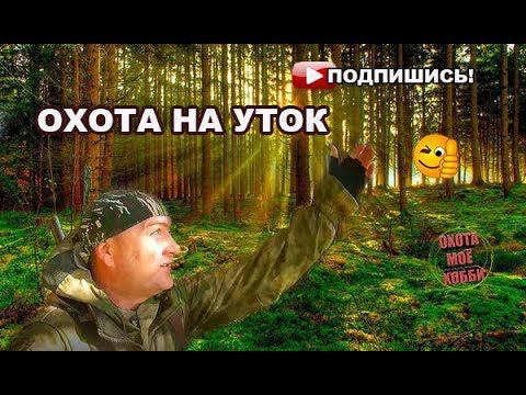 #ОХОТА на уток "Отголоски прошедшего лета" смотреть онлайн