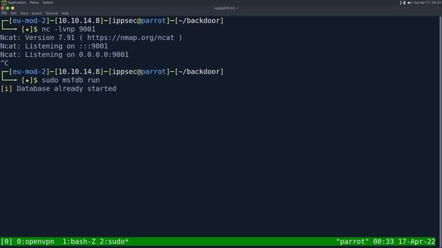HackTheBox - Backdoor