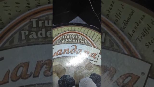 Сыр ЛАНДАНА ТРЮФЕЛЬ с ГРИБАМИ I LANDANA TRUFFLE & MUSHROOM I Хамон и сыр.