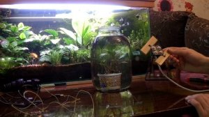 Фитосветодиоды в аквариуме. Тест. Начало