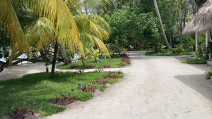 Обзор отеля Fihalhohi Мальдивы