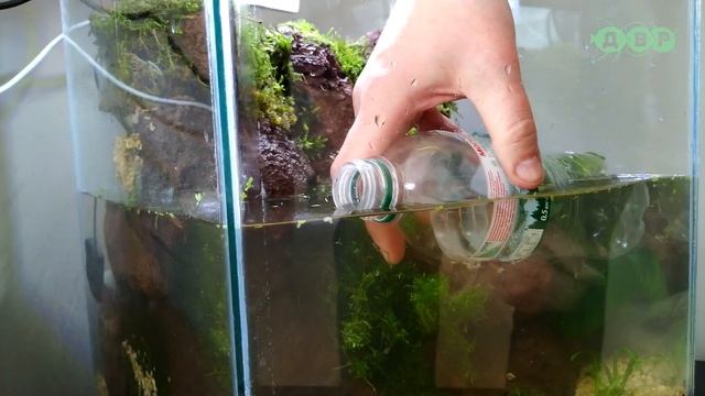 ПОДАРИЛ АКВАРИУМ  КАНАЛУ МИЛЛИОННИК HUSMUT: ХАСМУТ  ХАСки и малаМУТ