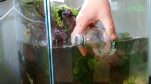 ПОДАРИЛ АКВАРИУМ  КАНАЛУ МИЛЛИОННИК HUSMUT: ХАСМУТ / ХАСки и малаМУТ/