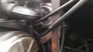 протаптал дорогу в деляну на тдт 55
